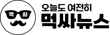 먹싸뉴스